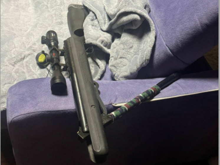 Мурманчанин модифицировал пневматику и стал фигурантом уголовного дела