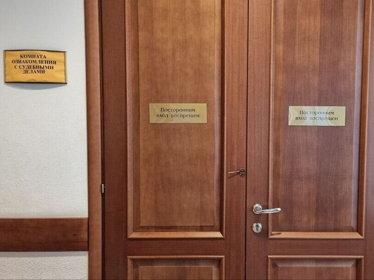 В Луге осудили бухгалтера, обокравшего работодателя на 35 миллионов рублей