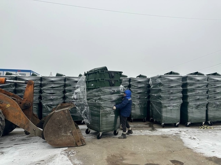 Глава Самарской области сообщил, когда в регионе завершится мусорная реформа