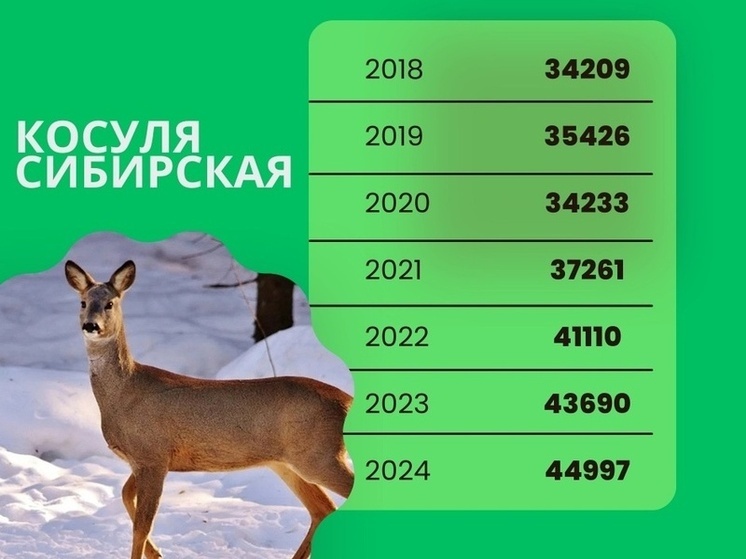 15 апреля завершится  зимний маршрутный учет животных в Туве