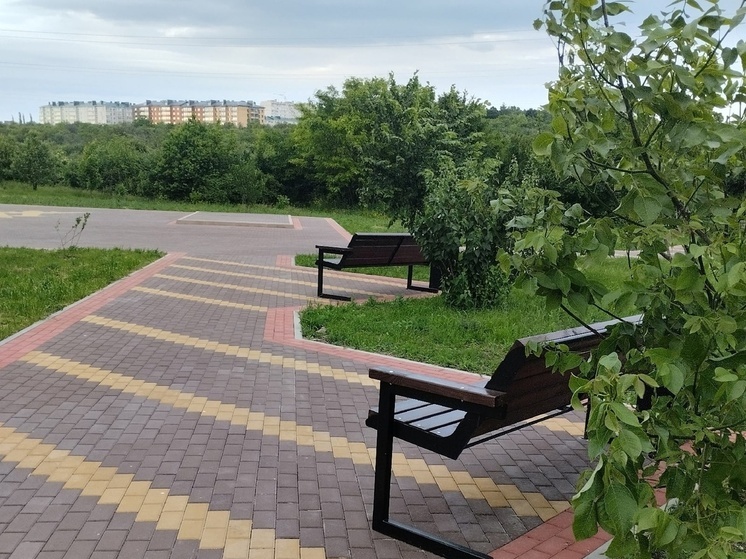 Четырнадцать муниципалитетов в ЛНР преобразят общественные территории в рамках федеральной программы