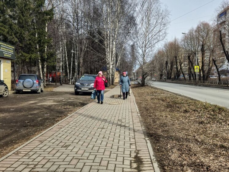 Синоптики: в Томске похолодает до +6 градусов