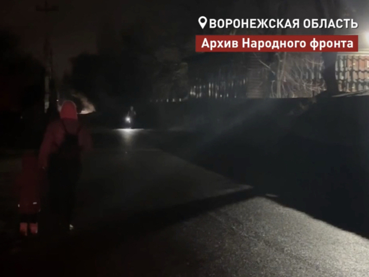 Воронежские школьники вынуждены преодолевать 2,5 км до школы из-за отказа пустить автобус