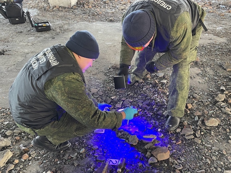 Житель Кызыла предстанет перед судом за совершение убийства и угон автомобиля потерпевшего