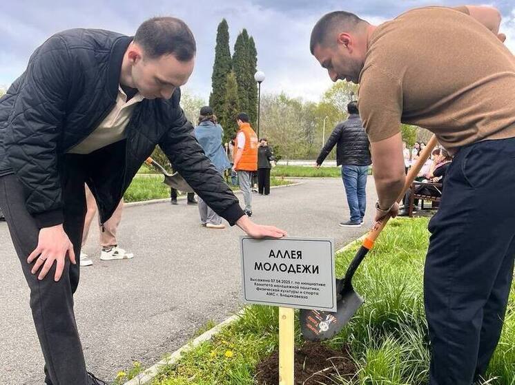 Во Владикавказе появилась «Аллея молодёжи»