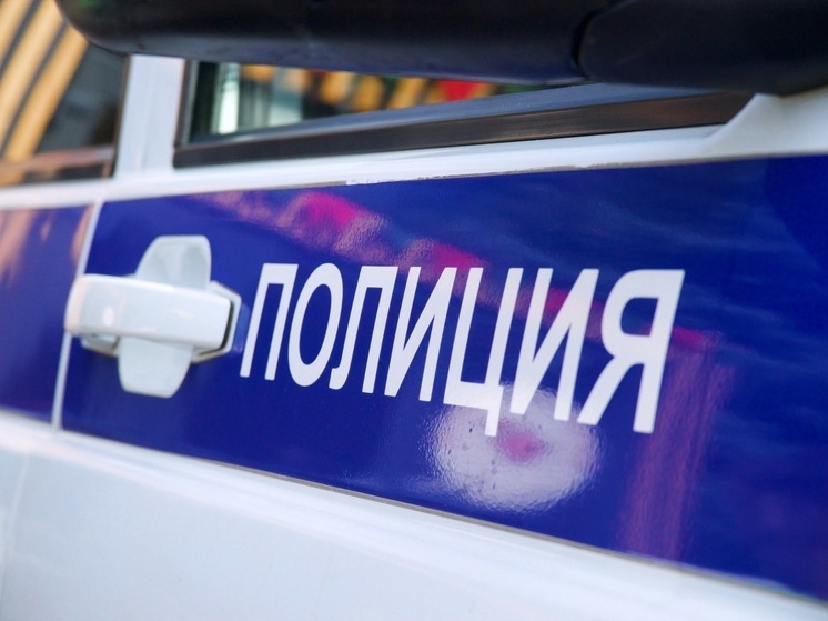 Героическое спасение: в Чебаркуле из ледяной ловушки вытащили собаку