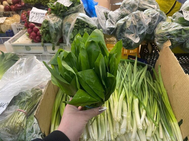 Весна - сезон черемши: польза и вкусные рецепты от Новомосковского рынка