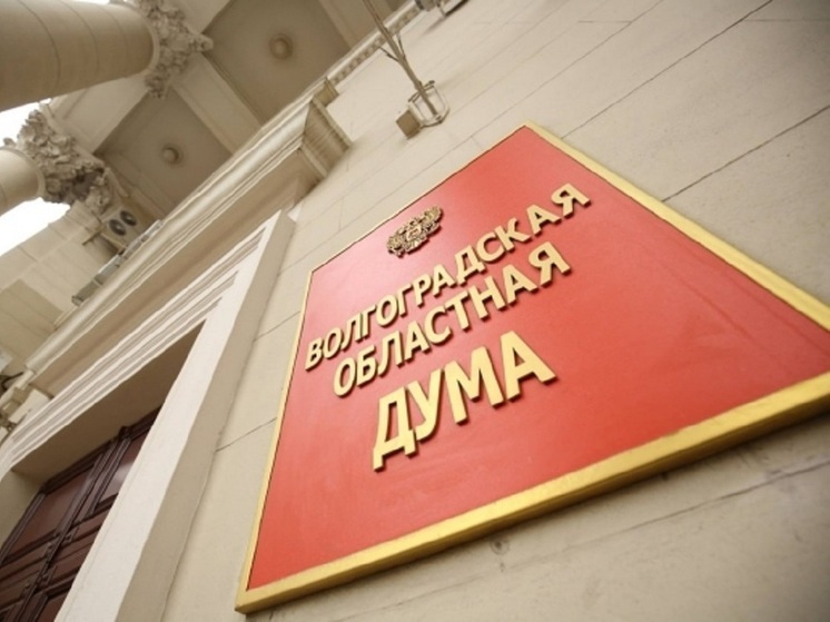 В Волгоградской области назначили нового детского омбудсмена