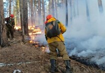 На вечер 8 апреля в Забайкальском крае зарегистрировано 37 лесных пожаров общей площадью более 24 тысяч гектаров