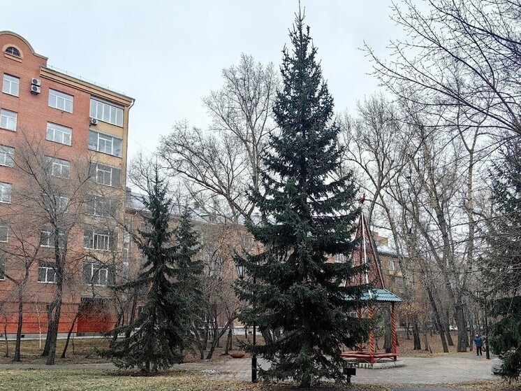 Синоптики Хакасии пообещали дожди и небольшое похолодание