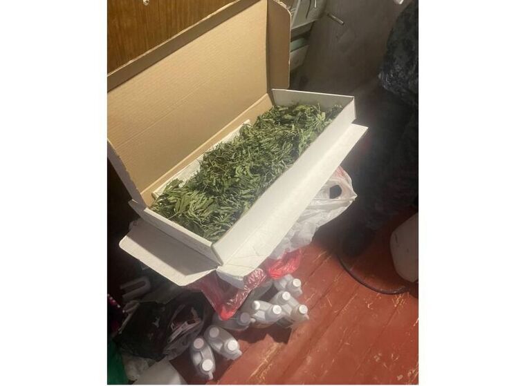 У жителя Гагарина наркополицейские изъяли полкило марихуаны