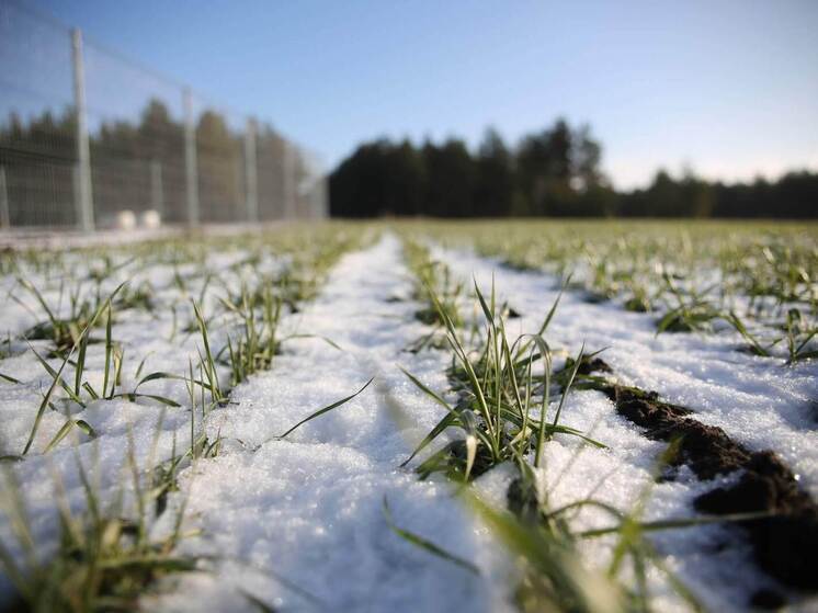 Астраханцев предупредили об ухудшении погоды