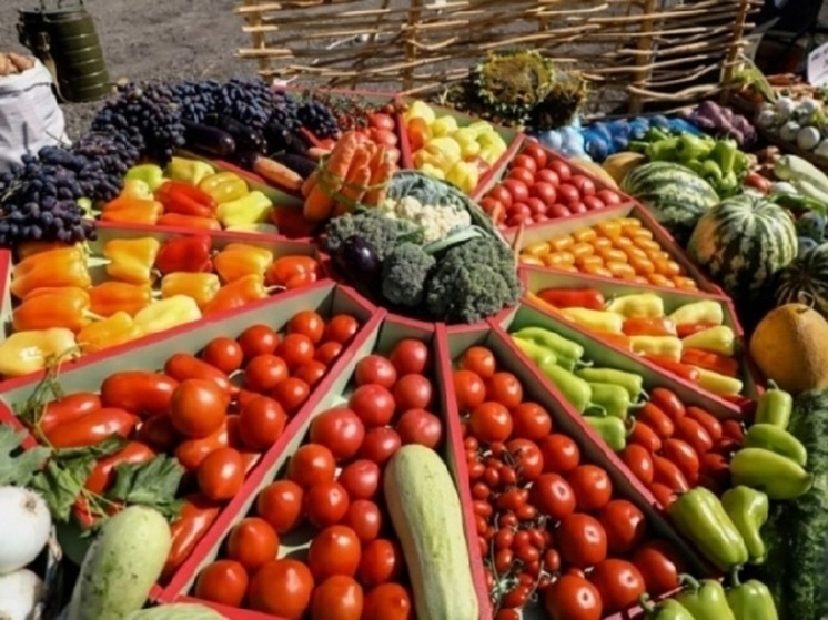 Волгоградцам рассказали о полезности Планетарной диеты здоровья