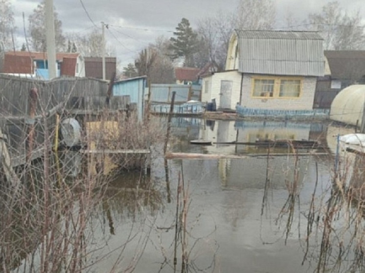 В Новосибирской области опубликована карта паводка с указанием критического уровня воды