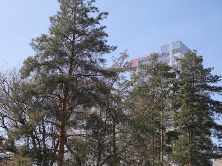 Волгоград сохранил статус города-миллионника