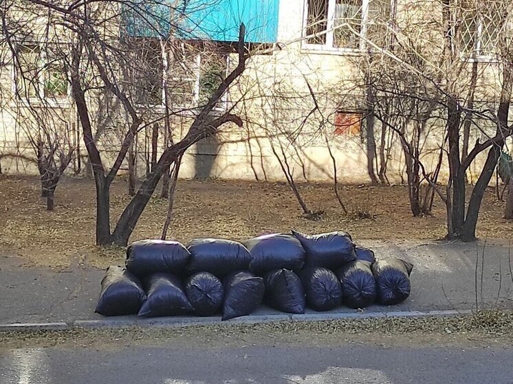 Читинцы 19 апреля выйдут на общегородской субботник