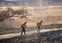 Угроза лесных пожаров семи населенным пунктам Забайкальского края, которая возникла вечером 8 апреля, снята
