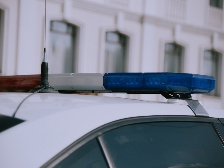 В Кожевниково увековечат память "Деревенского детектива"