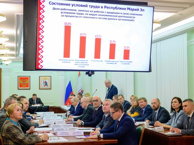 Марий Эл входит в ТОП-20 по развитию информационной системы здравоохранения