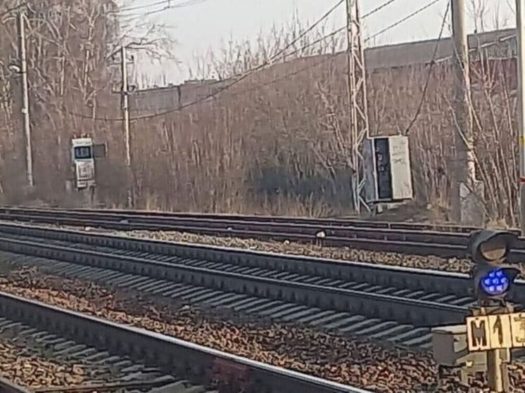 Уроженец Молдовы совершил серию поджогов в Подмосковье