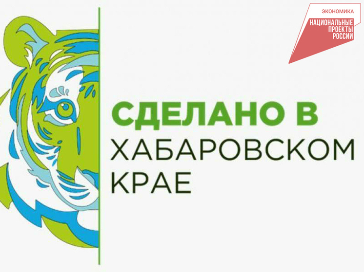 В Хабаровском крае появится программа поддержки малого и среднего бизнеса