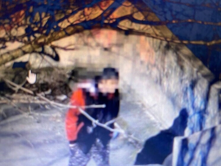 Эксгибиционист разгуливал по Петрозаводску