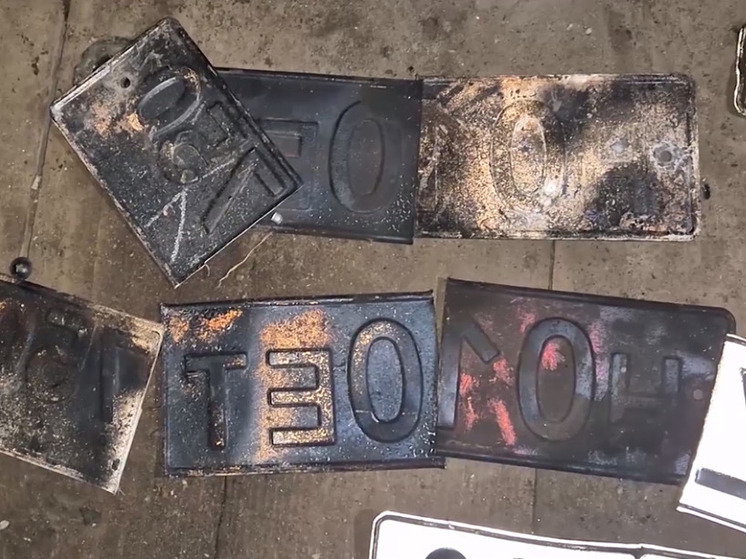 Серийного угонщика машин задержали полицейские в Подмосковье