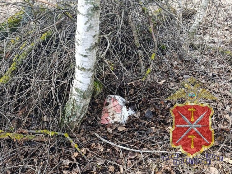 Житель Владимирской области пойман полицией на «закладках» под Тулой