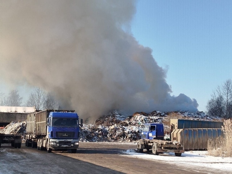 В Гусь-Хрустальном после пожара оштрафовали арендатора земли