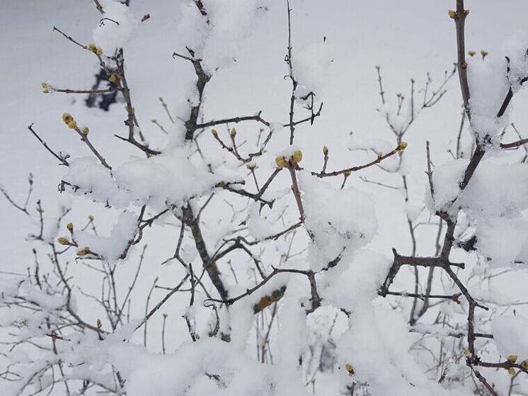 В Подмосковье зафиксировали сугробы высотой 30 см