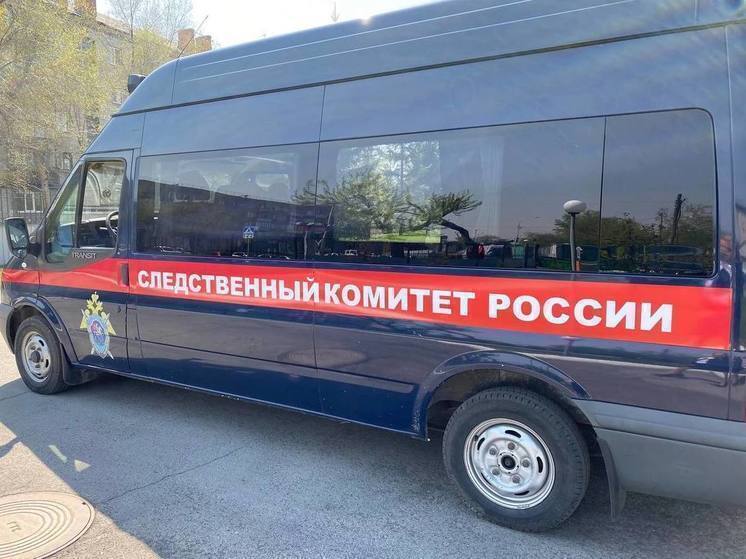 В Барнауле после смерти двух подростков возбудили уголовное дело