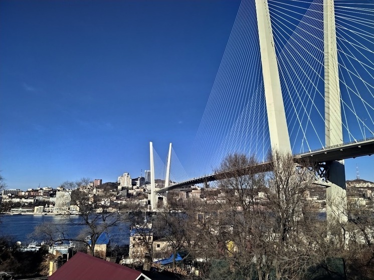 Полиция проверяет инцидент с пистолетом на Золотом мосту во Владивостоке