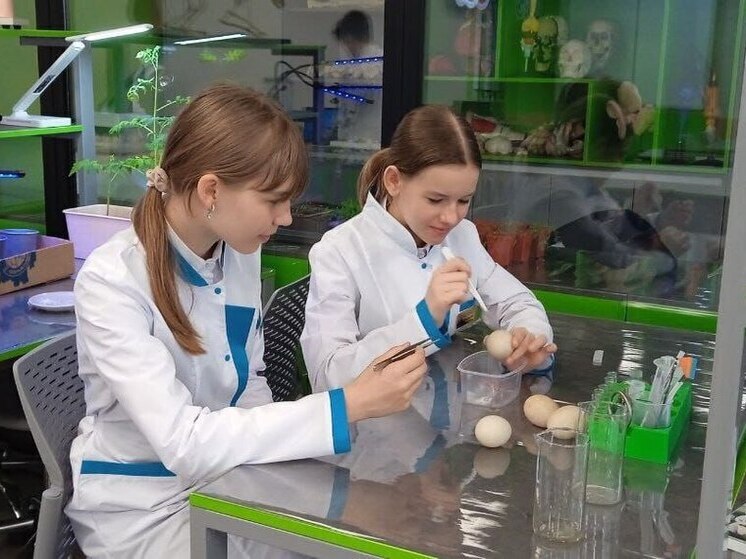 В Кванториуме Кавказского района ждут появления утят