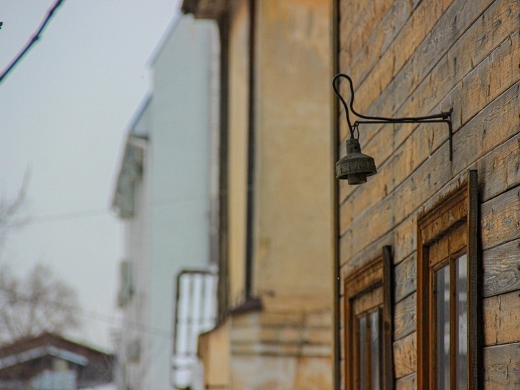 Доктор Шеина заявила тулякам, что плесень в доме провоцирует опасны токсины