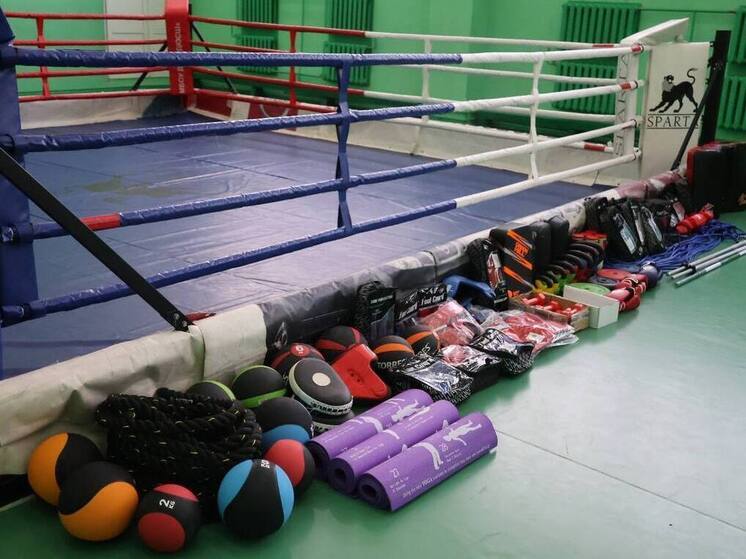 Новый спортинвентарь для кикбоксеров закупили в Алтайском районе