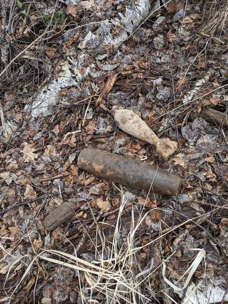 В Ульяновском районе близ деревни Колосово прогремели взрывы