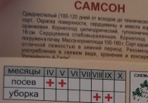 Управление Россельхознадзора, в преддверии начала активного посевного сезона объяснило, как выбирать семена и посадочный материал