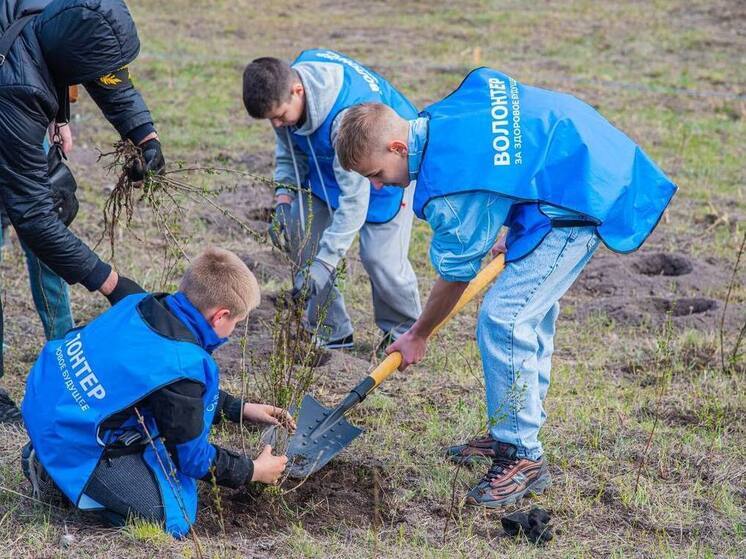 В окрестностях Новоайдара ЛНР высадили геоглиф "Победа"
