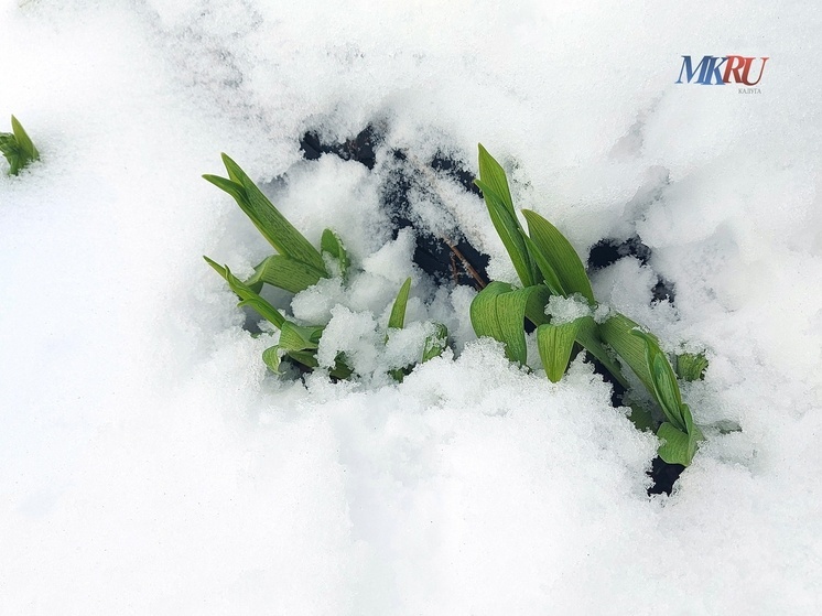 В Калужском регионе продолжит идти снег