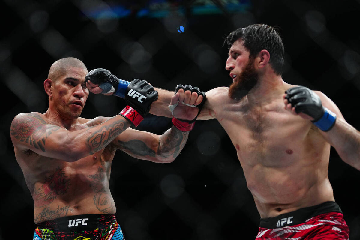 Россиянин отвоевал титул у бразильца на турнире UFC 313