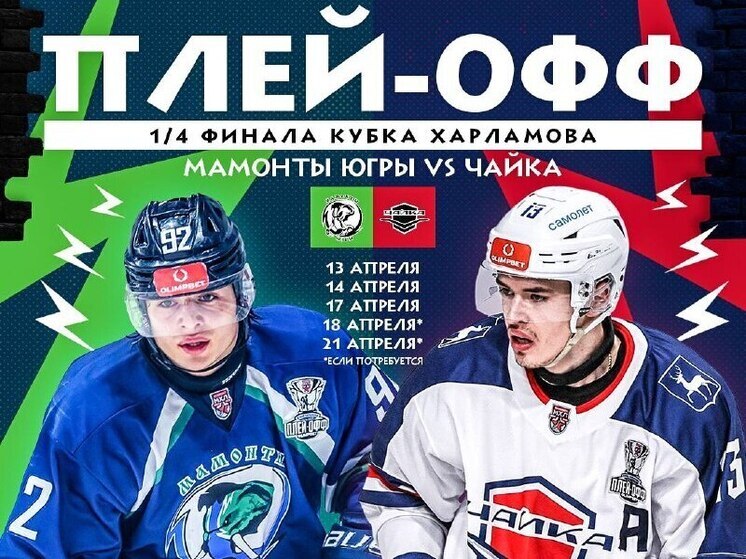 «Чайка» начнет 1/4 Кубка Харламова в Ханты-Мансийске