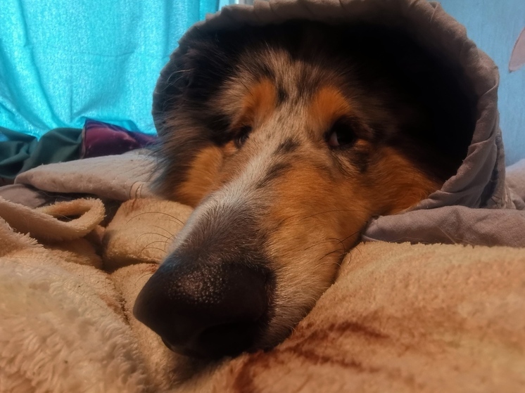 Стало известно, какая погода будет в Приморье в четверг, 10 апреля