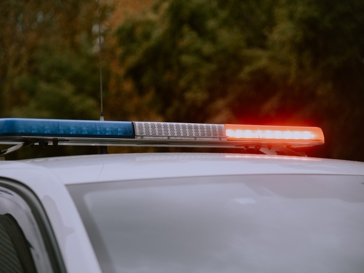 Северчанина арестовали по делу о заказном убийстве в Томске