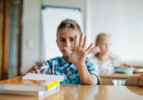 В Красноярском крае в образовательных учреждениях обучаются 5,8 тысячи детей мигрантов, из которых 76% находятся в Красноярске
