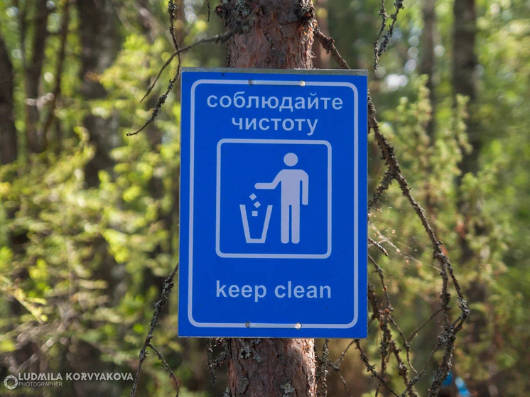 Петрозаводчане обвинили власти в бесконтрольных свалках