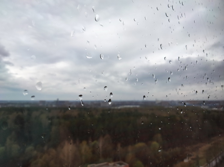 День Иоанна Лествичника 12 апреля: как провести день по народным правилам