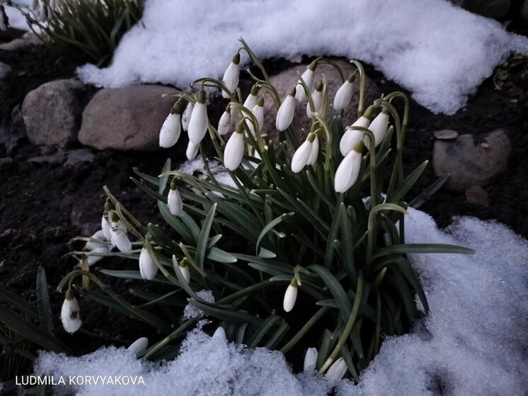 Когда весна вновь наступит в Карелии: прогноз от синоптиков