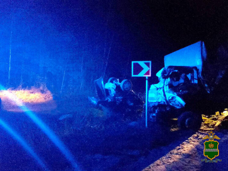 В Калуге завершилось расследование смертельного ДТП под Тарусой