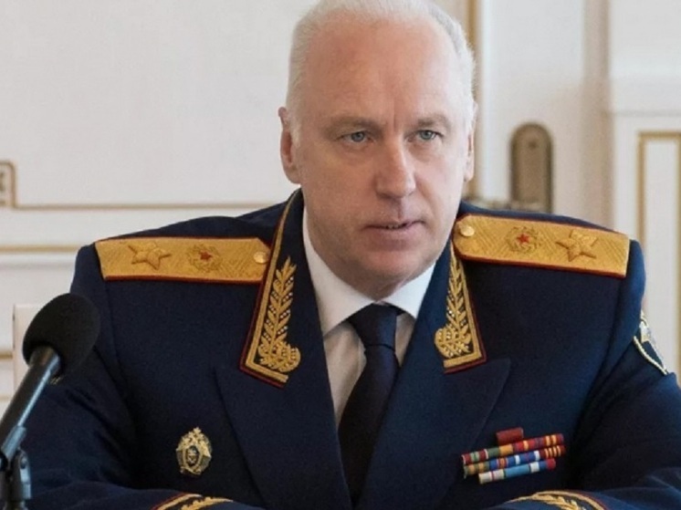Глава Следственного комитета России инициировал проверку по факту нападения собак на ребенка в Карелии