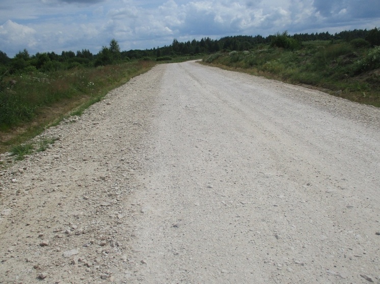 Ущерб в размере 1 млн рублей возместила компания, причинившая вред почвам земельных участков в Псковской области